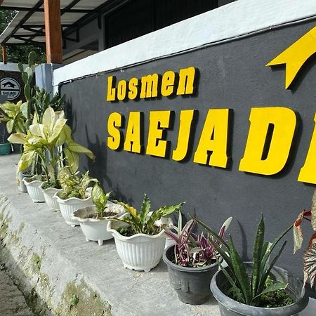 Krui Saejadi Surf And Stay Ngoại thất bức ảnh