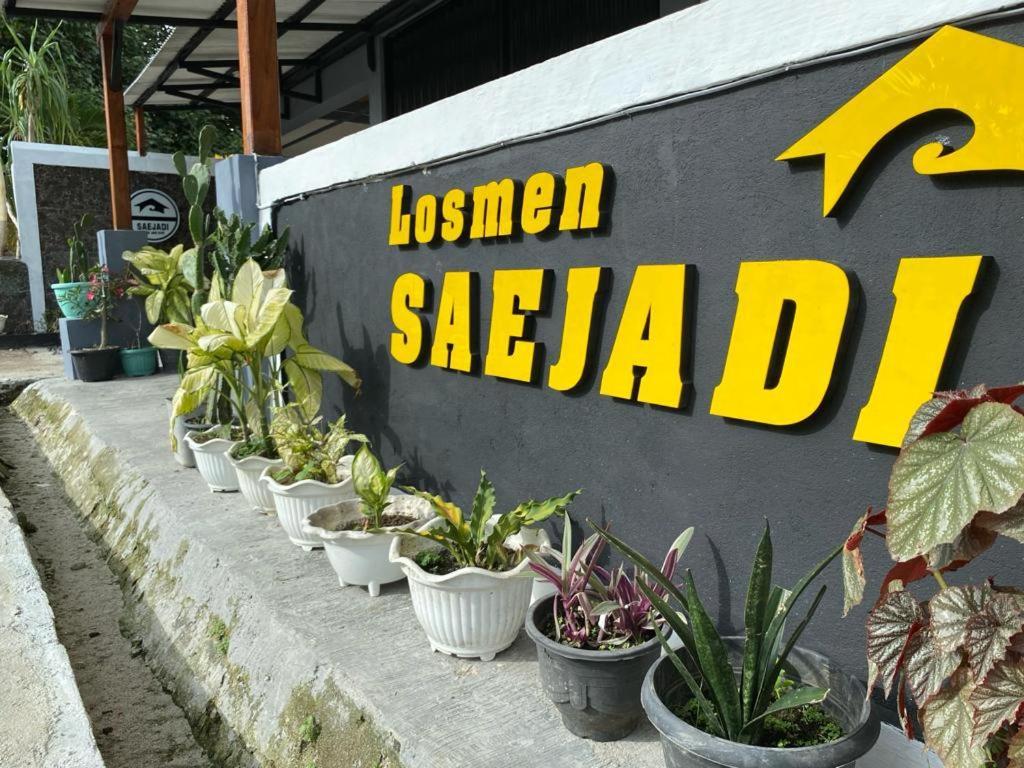 Krui Saejadi Surf And Stay Ngoại thất bức ảnh